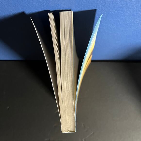 The Dunes by Erin Sands (2014, Paperback) – Self-Discovery & Faith-Based Journal - Picture 4 of 8